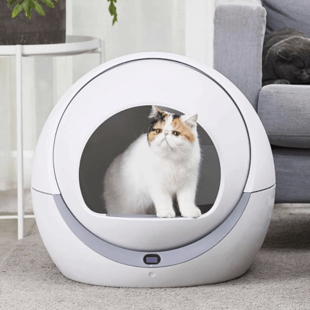 ห้องน้ำเเมวแบบอัตโนมัติ พร้อม WIFI THAI SUN SPORT รุ่น PET0038_3